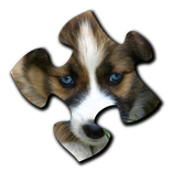 Puppy Jigsaw Puzzles