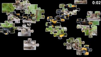 Salamander Jigsaw Puzzles capture d'écran 1