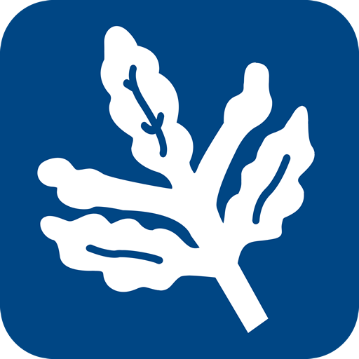 Fenerium Mobil Mağaza