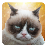 Grumpy Cat: Unimpressed