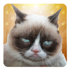 Grumpy Cat: Unimpressed icono