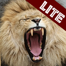 Animal Sounds - LITE APK