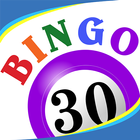 Bingo Thirty™ icône