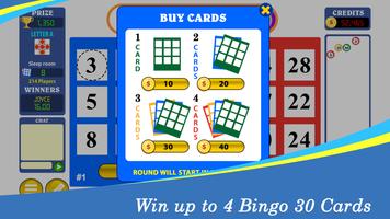 Bingo Thirty™ capture d'écran 3