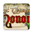 A Great Honor For Us Hidden object icon