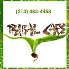 Tribal Cafe icon