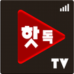 핫독티비_인터넷방송,실시간TV