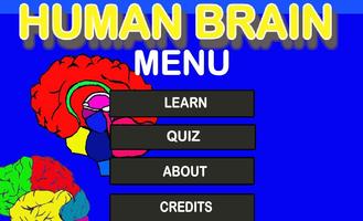 Poster Human Brain