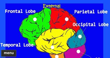 1 Schermata Human Brain