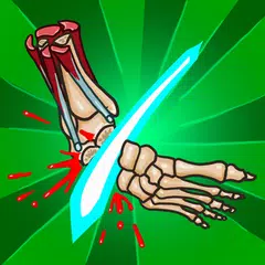 Anatomy Ninja Lower Limb APK download