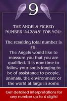 Angel Number 截图 2