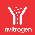 Flow Cytometry