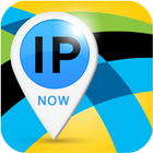 IP Now - My IP, IP History 아이콘