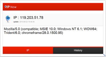 IP Now - My IP, IP History اسکرین شاٹ 3