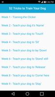 52 Dog Training Routines and Tricks โปสเตอร์