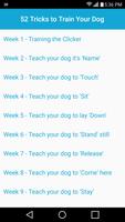 52 Dog Training Routines and Tricks Cartaz