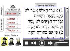 Hebrew Psalms Reader Affiche
