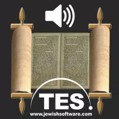 Hebrew Bible Reader APK 下載