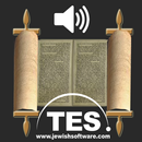 Hebrew Bible Reader APK