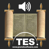 Hebrew Bible Reader APK