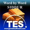 Hebrew Siddur Reader icon