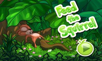 Feed The Squirrel постер