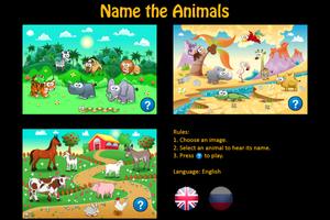 Name the Animals Affiche