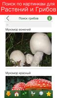 Отравление – Первая помощь تصوير الشاشة 2
