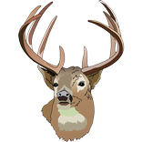 Sangai Festival 2017 Info