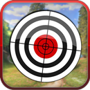 50 Targets Shooting Challenge - Free APK
