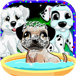 Собака Pet Care