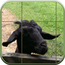 Slide Puzzle APK