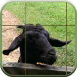 स्लाइड पहेली