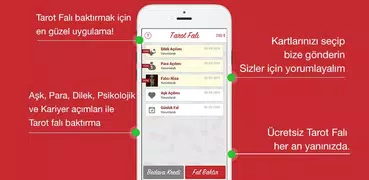 Tarot Falı (Falcısı)