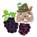 Black Berry Picker APK