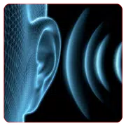 Ear Training Basic