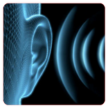 基本的な耳の訓練