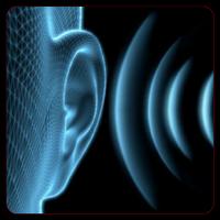 Ear Training Basic โปสเตอร์
