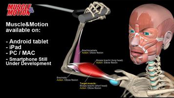 Muscle and Motion - Strength Poster