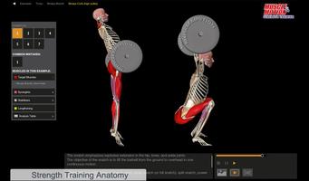 Muscle and Motion - Strength captura de pantalla 2