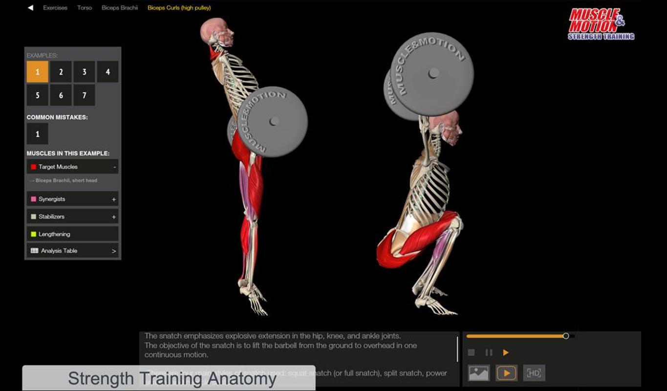 Strength training anatomy. Muscle and Motion. Core muscle and Motion. Внутренний цилиндр muscle and Motion. Muscles Pro приложение.