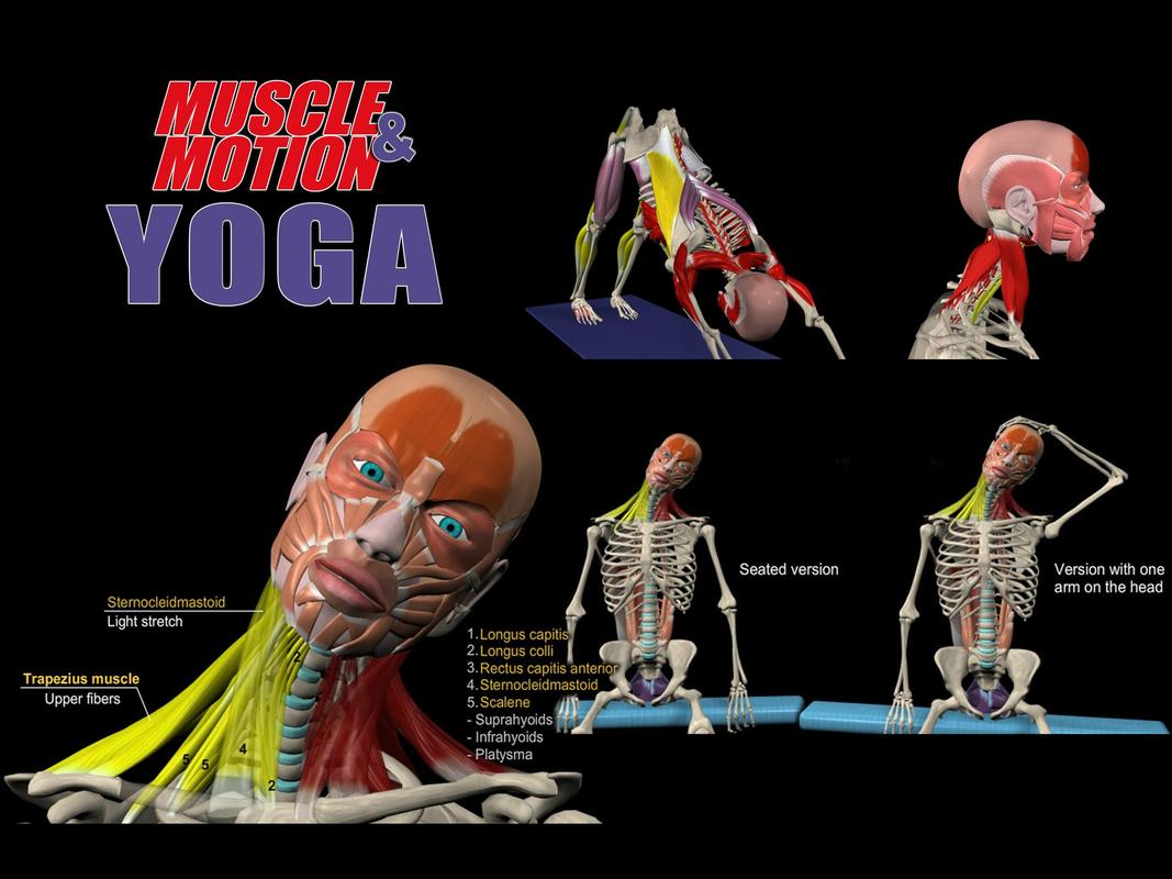 Muscle and Motion YOGA para Android APK Baixar