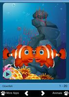 Sea Animals for Toddlers poster