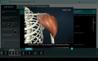 Practice Anatomy Lab (PAL3) capture d'écran 1