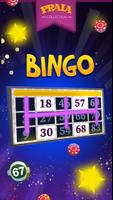 Video Bingo Ipanema ảnh chụp màn hình 1