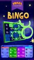 Video Bingo Malibu Ekran Görüntüsü 2