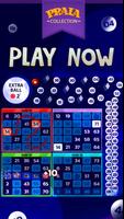 Video Bingo Malibu Ekran Görüntüsü 3