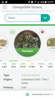 PotBot Medical Marijuana App پوسٹر