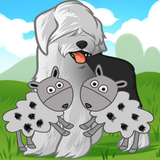 Sheepdog Trial icône