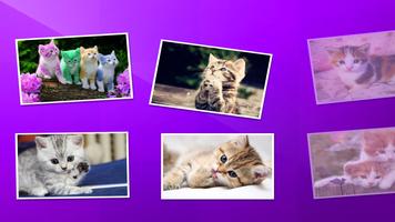 Cute Cats Jigsaw capture d'écran 1
